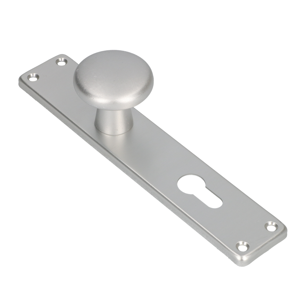 AMI Knop 160/50 Vast Langschild 212/41 RH Profielcilinder 72 F1 - 313796
